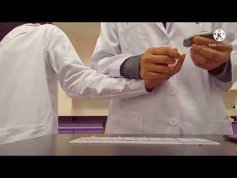 LAB | BLOOD CELLS & BLOOD TEST | PHARMACIST