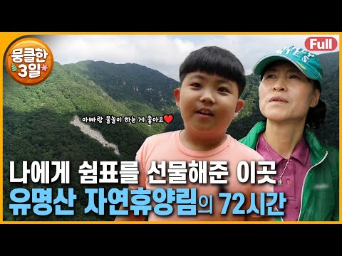 [다큐3일⭑Full] 바쁜 삶 속, 여유로움을 찾을 수 있는 작은 쉼표 😌 50여 년 땀방울이 깃들어 있는 유명산 💦 ‘유명산 자연휴양림’의 72시간 | KBS 방송