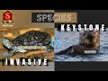 Invasive and Keystone Species Concepts