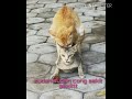 Download Video VIRAL Selingkuh Gara-gara Sering Keluar Sendiri 02 Download Video VIRAL Selingkuh Gara-gara Sering Keluar Sendiri 02
