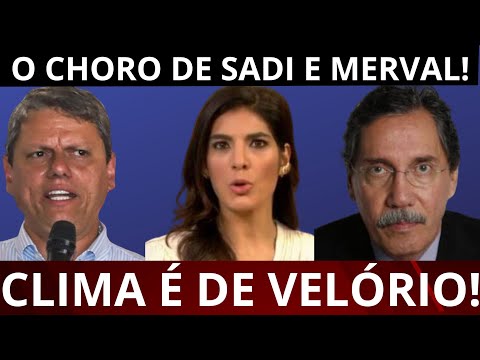13/05! ACABOU! DESISTÊNCIA DE TARCÍSIO FAZ SADI E MERVAL QUASE CHORAREM NA GLOBO NEWS!