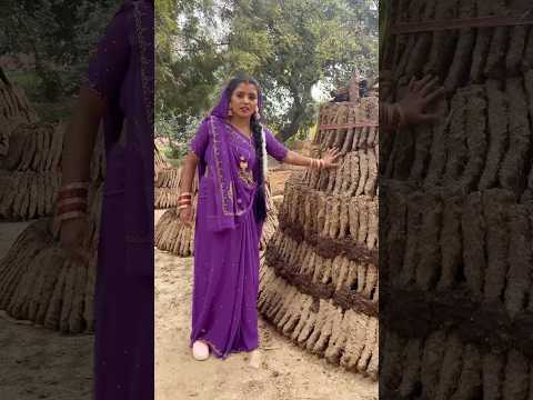 देखिए रितु चौहान ससुराल में गोइठा के लिए झगड़ा की गोतनी से 😱😱…..