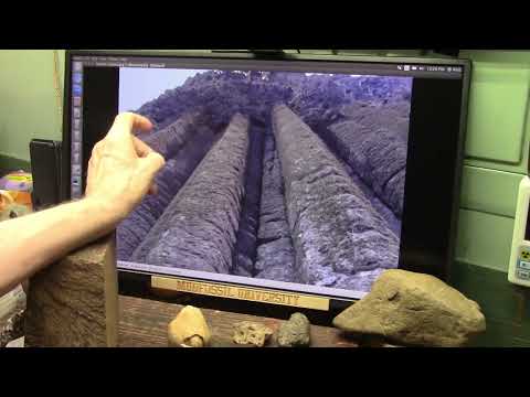 An Academic Addresses Mudfossil Claims On Hex Columns at Giants Causeway
