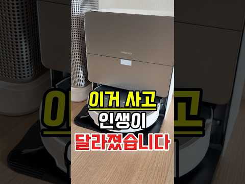 로보락 내돈내산 후기 효자 꿀템 3가지 이유