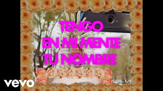 Los Ángeles Azules, Horacio Palencia - Qué Tontería (Lyric Video)