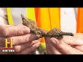 Discoveries and Significance at the Money Pit