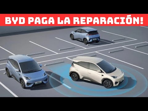 DIRECTO: BYD PAGA LA REPARACIÓN DE TU COCHE!