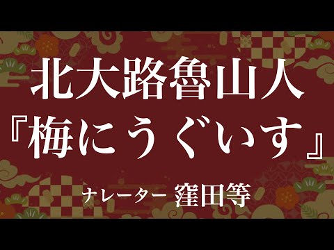 『梅にうぐいす』作：北大路魯山人　朗読：窪田等　作業用BGMや睡眠導入 おやすみ前 教養にも 本好き 青空文庫