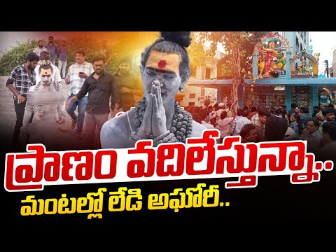 ప్రాణం వదిలేస్తున్నా.. | Lady Aghori Naga Sadhu Sensational Decision | Trending News | Wild Wolf