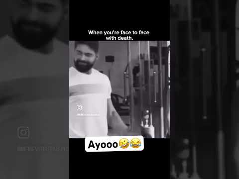 Would You Have Looked ๐คฃ๐ #funny #laughing #funnyvideo #toofunny #laugh #hilarious #lol