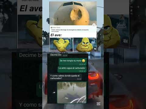 Como quedó el avión: 😭 EL AVE: ☠️