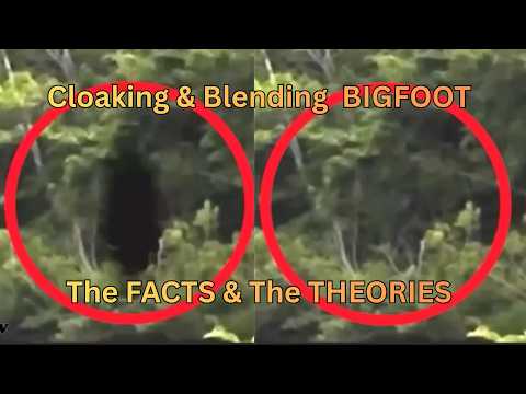 CLOAKING & BLENDING BIGFOOT! / FACTS & THEORIES!
