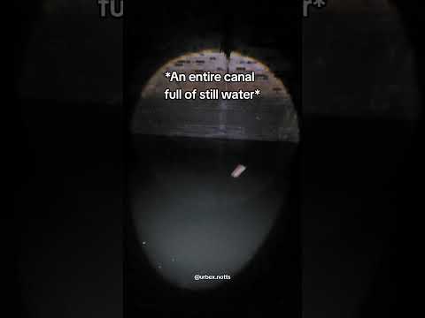 🦠🦠🦠 Dont swim in any still water you find inside abandoned places #abandoned #urbanexploring