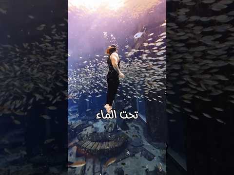اكوامان الحياة الحقيقية