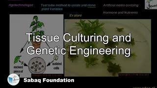 Tissue Culturing and Genetic Engineering