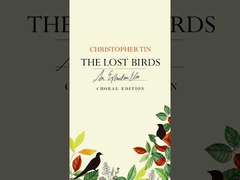 Christopher Tin - The Lost Birds