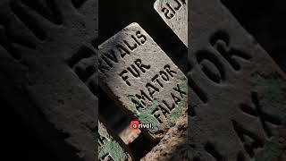 Ancient Roman Curse Tablets