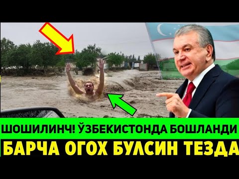 ШОШИЛИНЧ! ОГОХ БУЛИНГ! ХОЗИРГИНА ЎЗБЕКИСТОНДА БОШЛАНДИ ХАЛК ТАЙЁР ТУРИНГ..