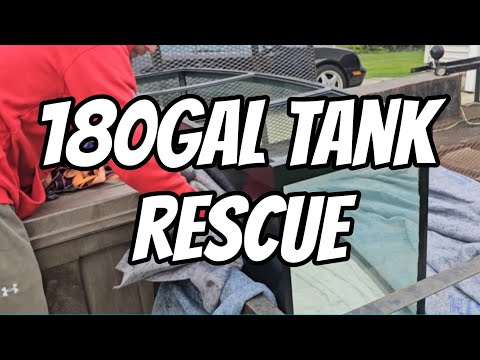180gal Tank Rescue ❤️ If you find my content helpful, become a channel member  and get access to perks_
https_//www