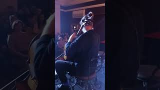 лебедь Чайковский - Forte Family