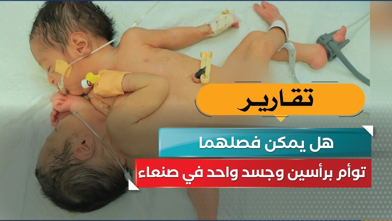قناة السعيدة