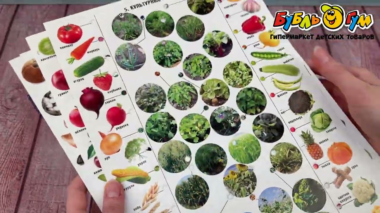 Игра обучающая электровикторина Живая природа с 5лет - видео Игра обучающая электровикторина Живая природа с 5лет - видео