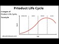 Product Life Cycle Stages and Concepts