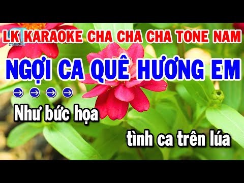 Liên Khúc Karaoke Cha Cha Cha Tone Nam Dễ Hát | Ngợi Ca Quê Hương Em – Con Gái Miền Tây | Thanh Hải