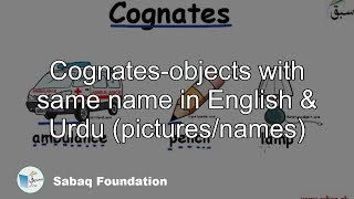 Coagnates ( things having same name in Urdu and English eg. heater, tissue)