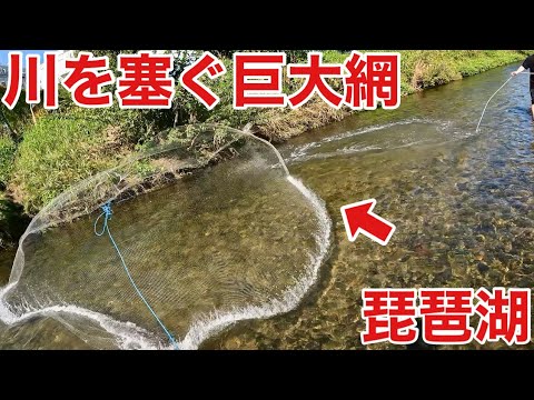 巨大投網で琵琶湖に流れ込む川を塞いでみた結果！！