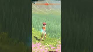 bidoof is Our lord And Savor