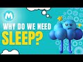 Understanding Sleep and Its Importance