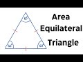 Understanding Triangle Area Calculation