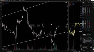 AMC GME (Important Update))