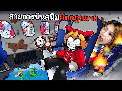 ซ่อมเครื่องบินสนิมเขรอะ หนีตำรวจ
