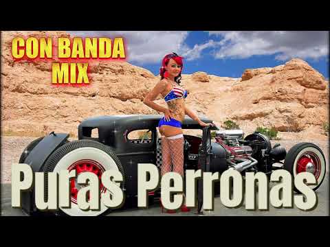 Corridos Con Banda Pa' Pistear Mix 2024 || Puras Perronas CON BANDA MIX