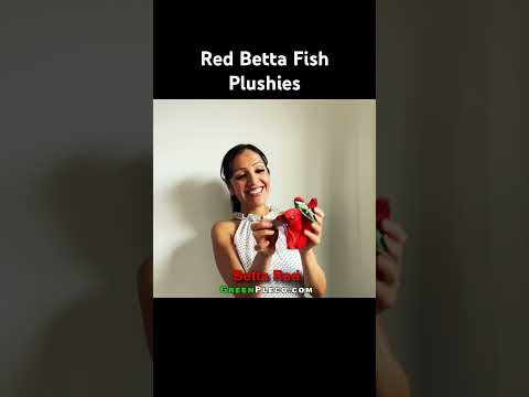 #fish #fishtank #fishing #aquarium #artist #gaming 