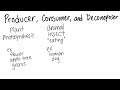 Organisms and Their Ecological Roles