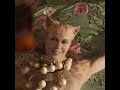 Magical Cat Characteristics and Intelligence
