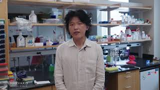 Research at Risk: PhD Training