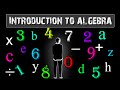 Algebraic Expressions and Equations