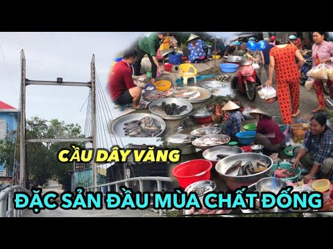 ĐẶC SẢN MÙA NƯỚC NỔI CHẤT ĐỐNG Ở CHỢ AN PHONG NAY LÀXÃ AN LONG, ĐỘC ĐÁO CẦU DÂY VĂNG KÊNH MỸ HÒA.