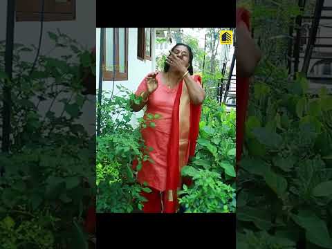 രണ്ടര സെന്റിൽ വീട് വച്ച ബാക്കിയിൽ മിനിയുടെ മിന്നും കൃഷി| #homegarden #terracefarming #viralhome