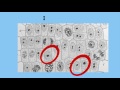 Understanding Interphase and the Cell Cycle