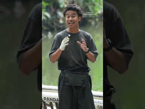 If this rule were enforced properly, how many people would be imprisoned? #pandawaragroup #pandawara