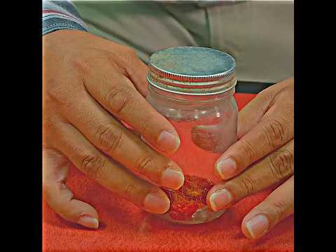 ROBBY Eating Very Spicy Chilli ☠️ #cobrakai #cobrakaiseason6 #robby #edit