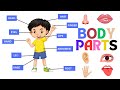Human Body Parts and Functions