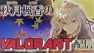 11時から楽しくコンペ！！【#vtuber 】【#valorant 】