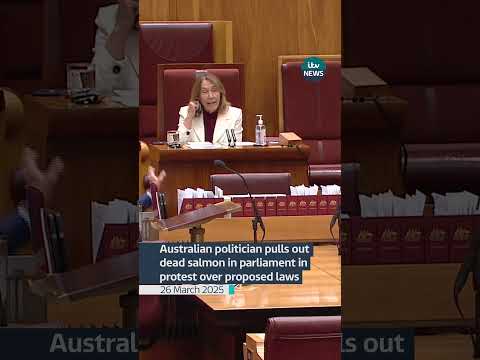 Australian politician pulls out dead salmon in parliament in protest over proposed laws #itvnews