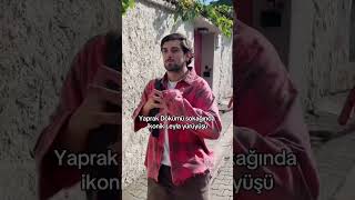 Yaprak Dökümü Leyla | Ozan Varol